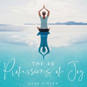 The 49 Professions of Joy image number 0