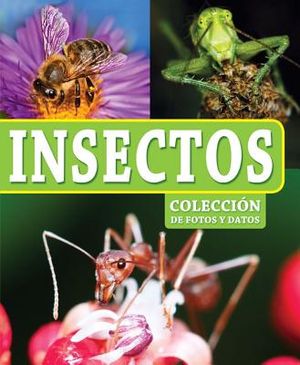 Insectos image number 0