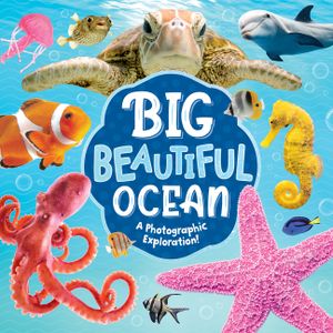 Big Blue Ocean image number 0
