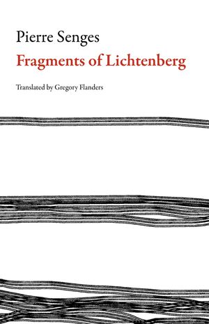 Fragments of Lichtenberg image number 0