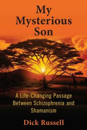 My Mysterious Son: A Life-Changing Passage Between Schizophrenia and Shamanism image number 0