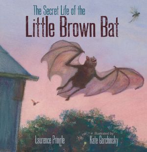 The Secret Life of the Little Brown Bat image number 0