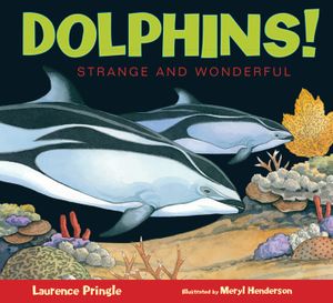 Dolphins! image number 0
