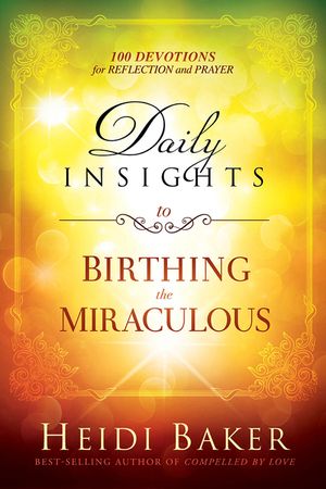 Daily Insights to Birthing the Miraculous: 100 Devotions for Reflection and Prayer image number 0