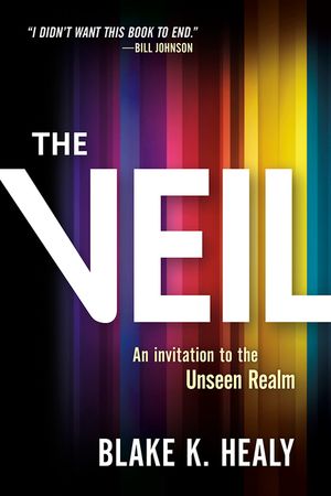 The Veil: An Invitation to the Unseen Realm image number 0