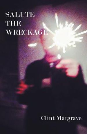 Salute the Wreckage image number 0