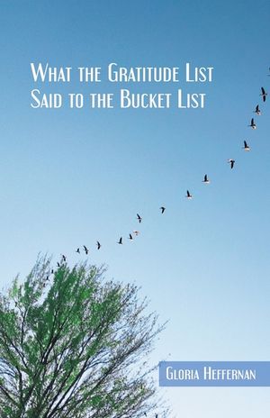 What the Gratitude List Said to the Bucket List image number 0