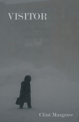 Visitor image number 0