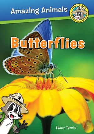 Butterflies image number 0