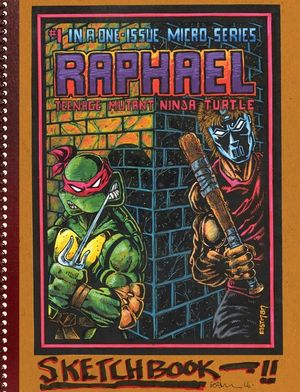 Teenage Mutant Ninja Turtles: The Kevin Eastman Notebook Series: Raphael image number 0