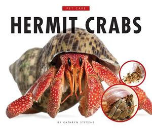 Hermit Crabs image number 0