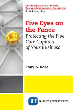Five Eyes On the Fence: Protecting the Five Core Capitals of Your Business image number 0