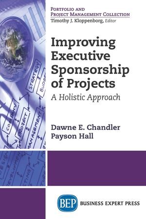 Improving Executive Sponsorship of Projects: A Holistic Approach image number 0