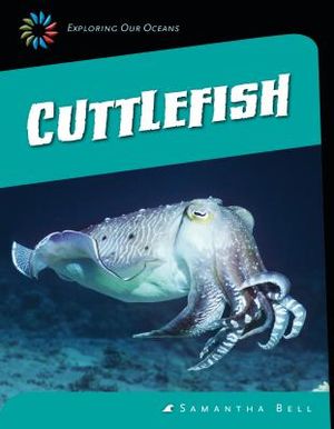 Cuttlefish image number 0
