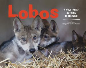 Lobos: A Wolf Family Returns to the Wild image number 0