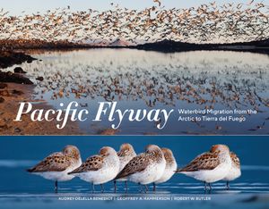 Pacific Flyway: Waterbird Migration from the Arctic to Tierra del Fuego image number 0