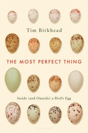 The Most Perfect Thing: Inside (and Outside) a Bird's Egg image number 0