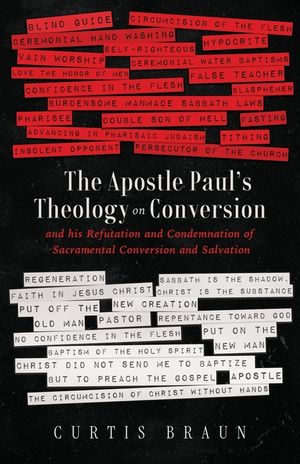 The Apostle Paul's Theology on Conversion - and His Refutation and Condemnation of Sacramental Conversion and Salvation image number 0