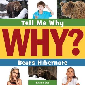 Bears Hibernate image number 0