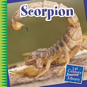 Scorpion image number 0