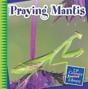 Praying Mantis image number 0