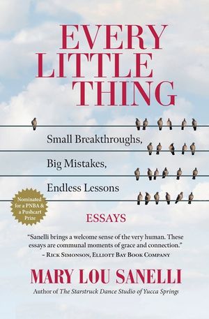 Every Little Thing: Small Breakthroughs, Big Mistakes, Endless Lessons image number 0