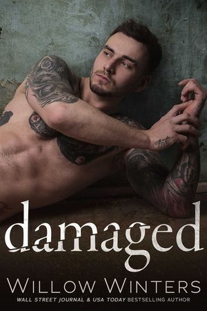 Damaged image number 0