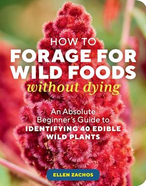 How to Forage for Wild Foods Without Dying: An Absolute Beginner's Guide to Identifying 35 Wild, Edible Plants image number 0