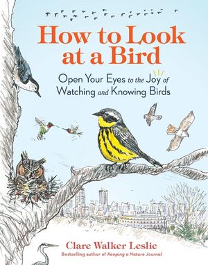 How to Look at a Bird: Open Your Eyes to the Joy of Watching and Knowing Birds image number 0