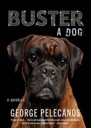 Buster: A Dog image number 0