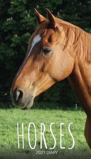 Horses 2021 Diary: Slim Pocket Calendar, Monthly Planner, Date Book, Organizer, Notepad image number 0