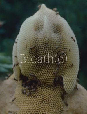 Breath(e): Towards Climate and Social Justice image number 0