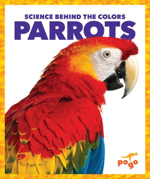 Parrots image number 0