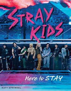 Stray Kids: Here to Stay image number 0