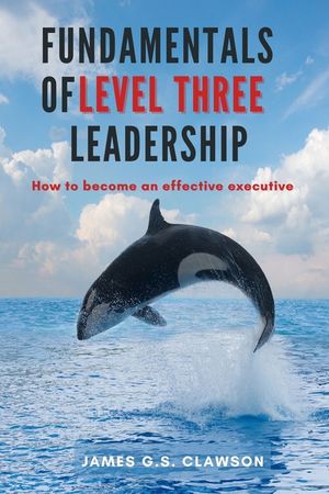 Fundamentals of Level Three Leadership: How to Become an Effective Executive image number 0