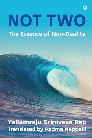 Not Two: The Essence of Non-Duality image number 0