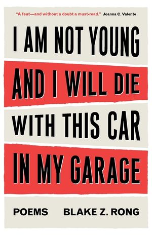 I Am Not Young And I Will Die With This Car In My Garage image number 0