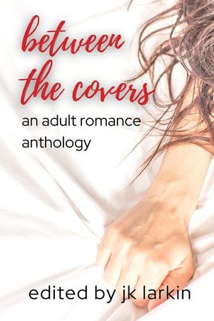 between the covers - an adult romance image number 0