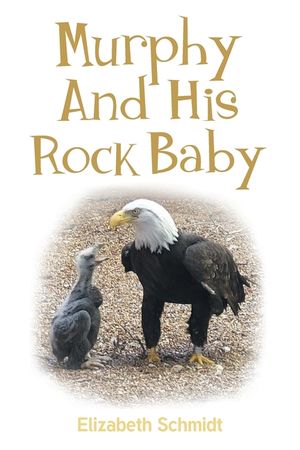 Murphy and His Rock Baby image number 0