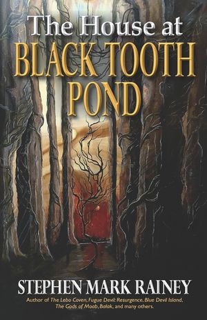 The House at Black Tooth Pond image number 0