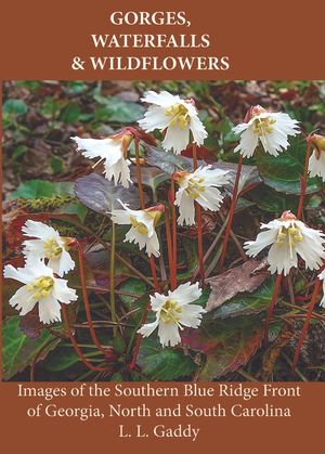Gorges, Waterfalls, and Wildflowers image number 0