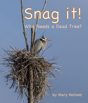 Snag It: Who Needs a Dead Tree? image number 0