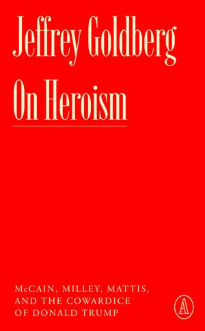 On Heroism and Cowardice: John McCain, Mark Milley, and Donald Trump image number 0