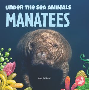 Manatees image number 0