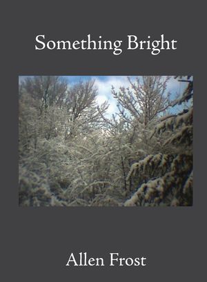 Something Bright image number 0