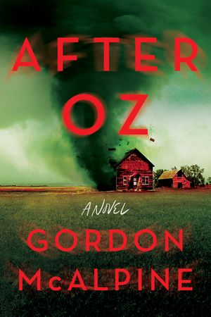 After the Storm image number 0