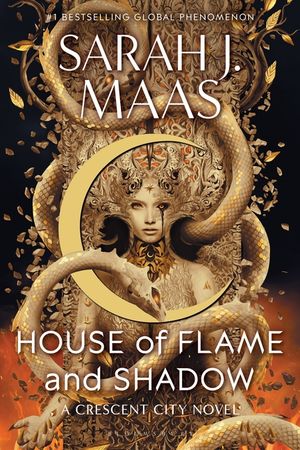 House of Flame and Shadow image number 0