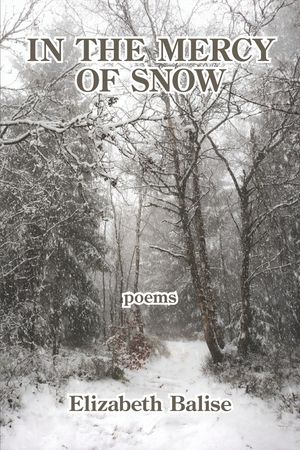 In the Mercy of Snow image number 0