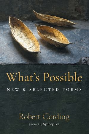 What's Possible: New & Selected Poems image number 0