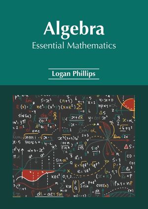 Algebra: Essential Mathematics image number 0